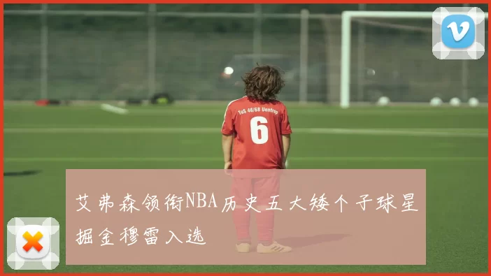 艾弗森领衔NBA历史五大矮个子球星掘金穆雷入选