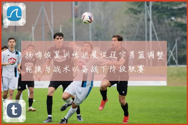 杨鸣恢复训练进展促辽宁男篮调整轮换与战术以备战下阶段联赛