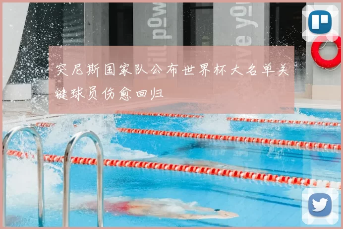 突尼斯国家队公布世界杯大名单关键球员伤愈回归