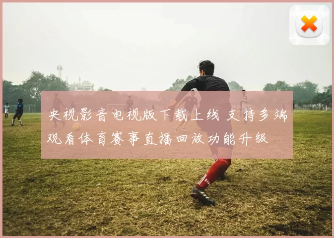 央视影音电视版下载上线 支持多端观看体育赛事直播回放功能升级