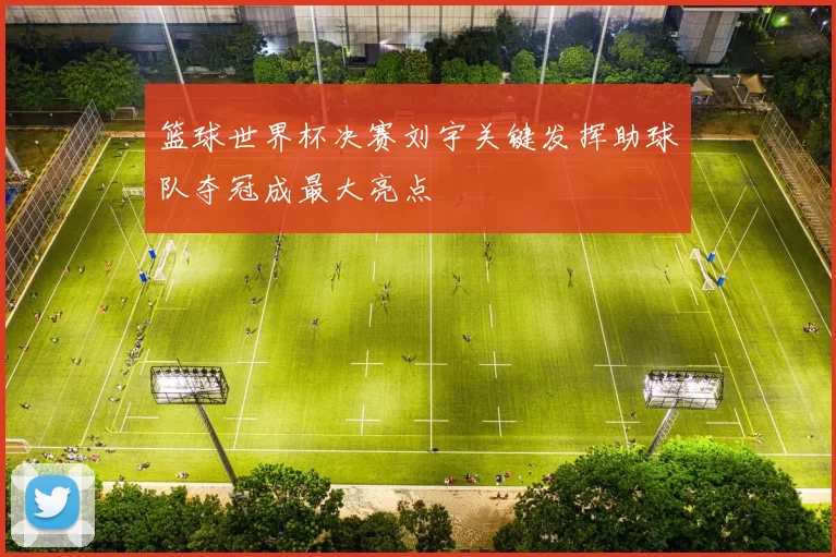 篮球世界杯决赛刘宇关键发挥助球队夺冠成最大亮点