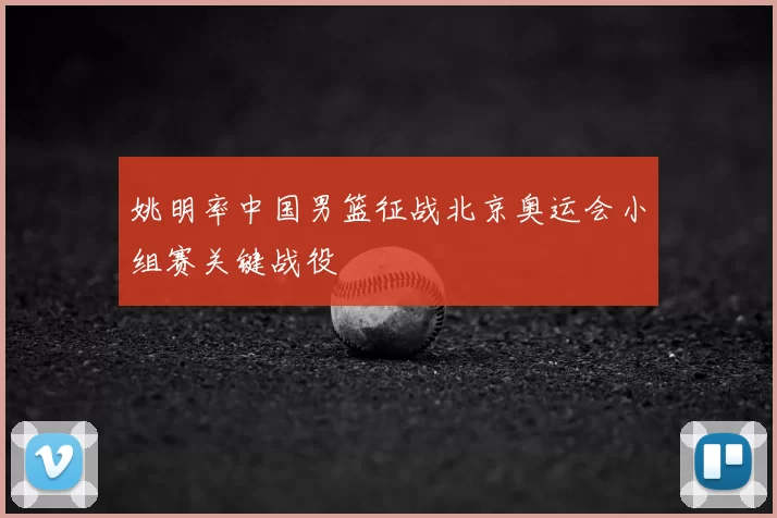 姚明率中国男篮征战北京奥运会小组赛关键战役